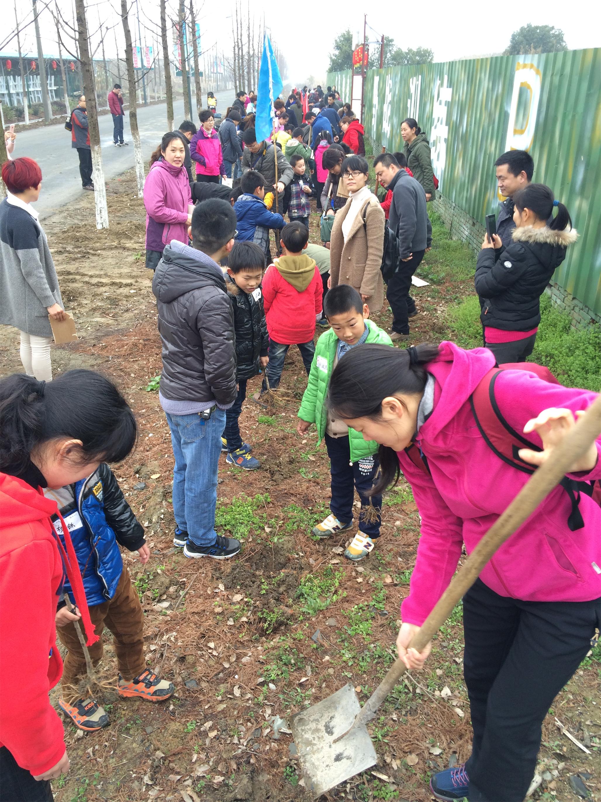 植树.JPG